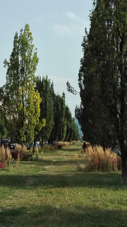 Apartament Krakowski Styl Extérieur photo